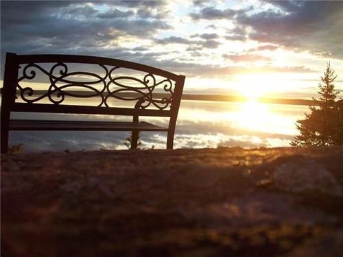 Edgewater Motel And Campground Temiskaming Shores Bagian luar foto